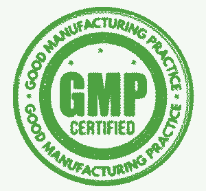 gmp-logo